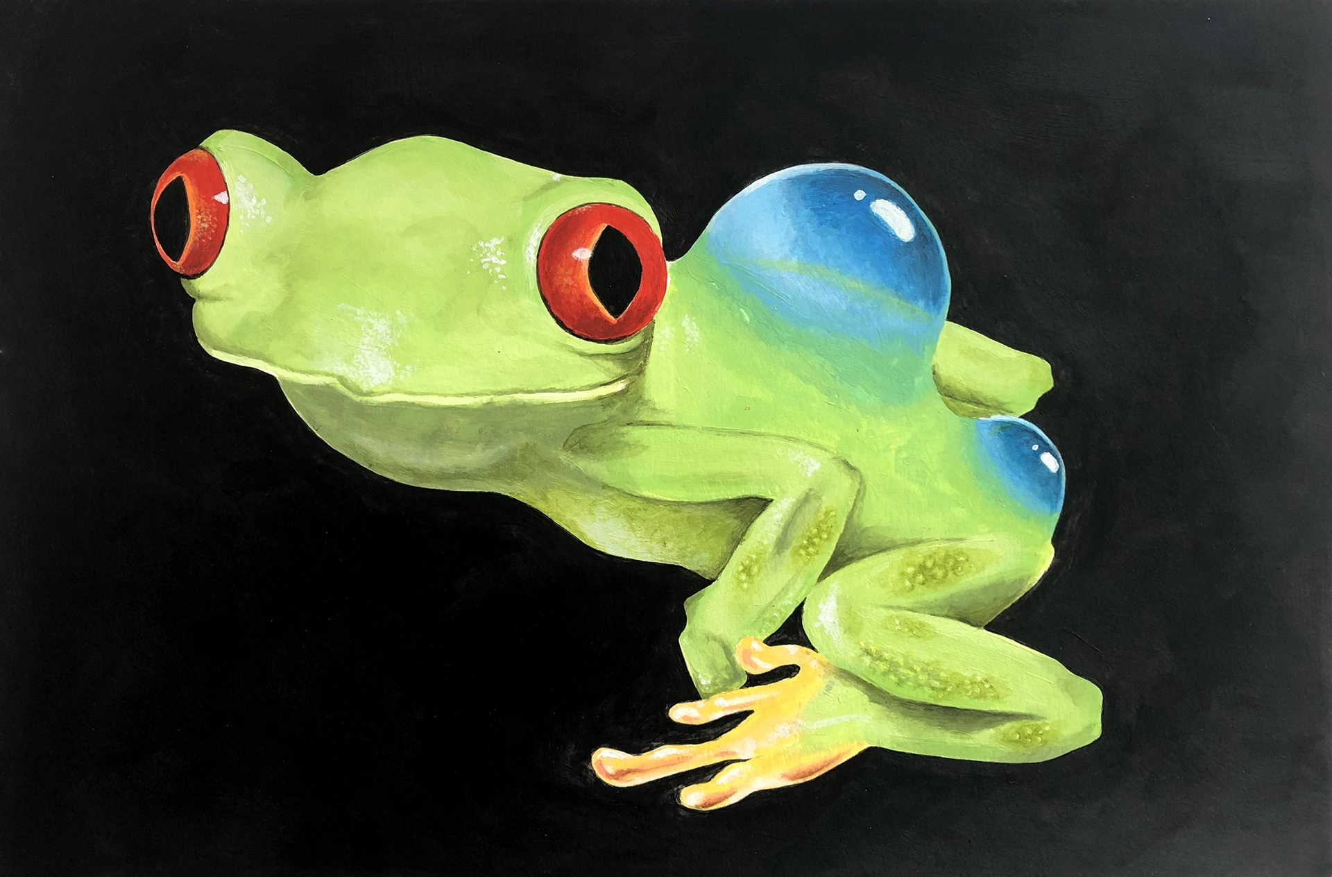 Grenouille illustration