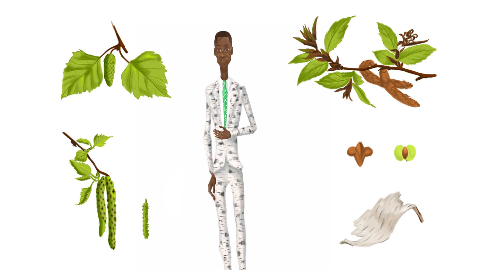 HERBIER illustration naturaly